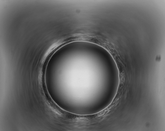 X0000100210150200806061354