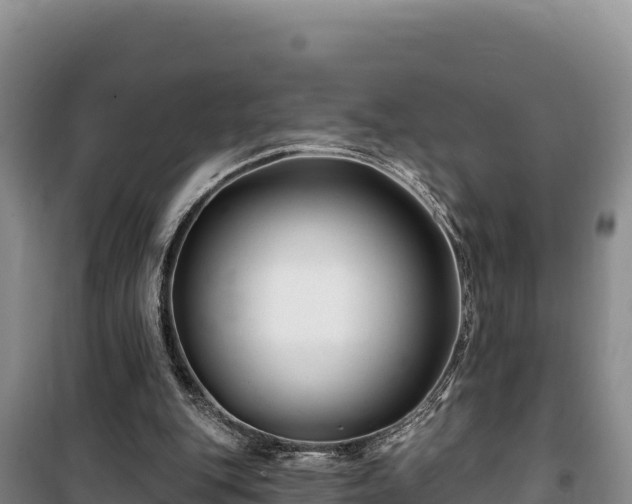 X0000100210151200806061354