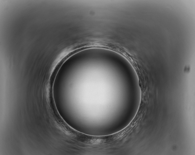 X0000100210152200806061354