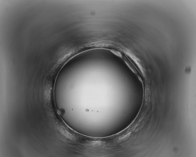 X0000100210153200806061354