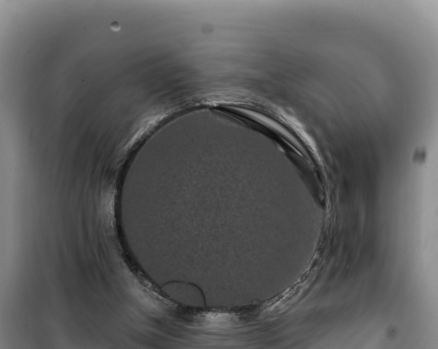 X0000100210154200806061354