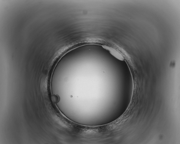 X0000100210155200806061354