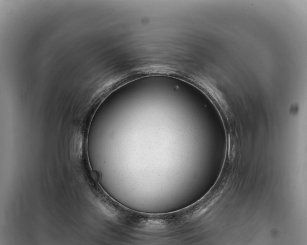 X0000100210157200806061354