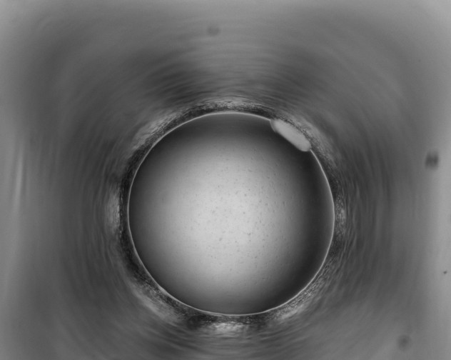 X0000100210158200806061354