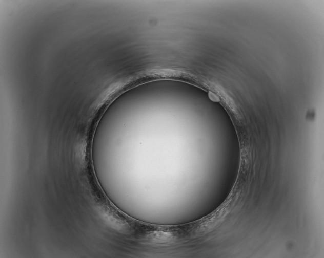 X0000100210159200806061354