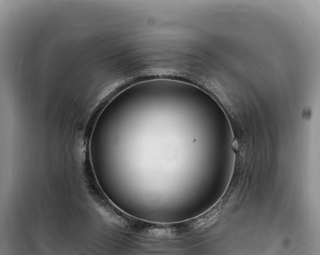 X0000100210160200806061354