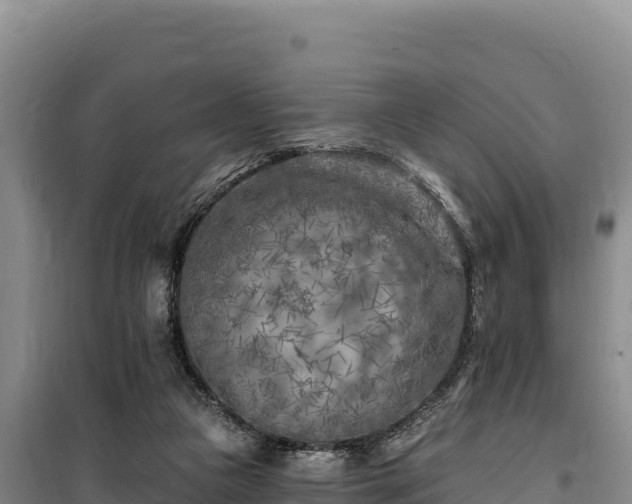 X0000100210161200806061354