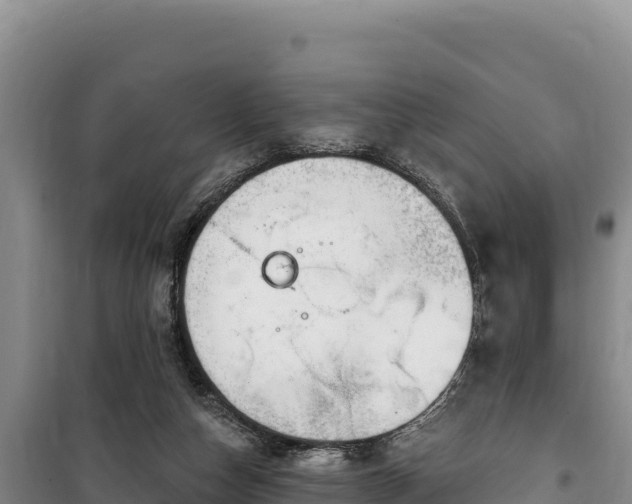 X0000100210162200806061354