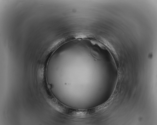 X0000100210163200806061354