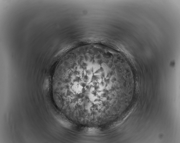 X0000100210165200806061354