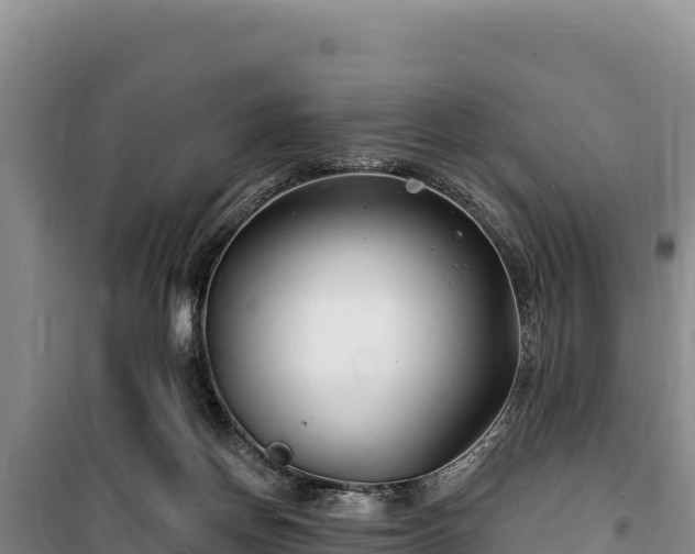 X0000100210166200806061354