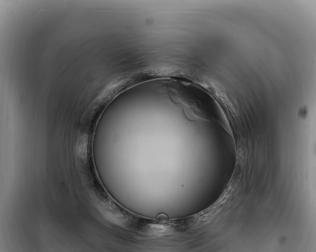 X0000100210167200806061354