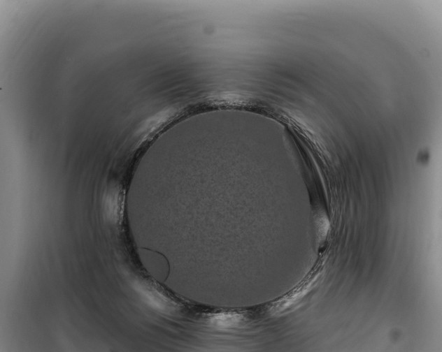 X0000100210168200806061354