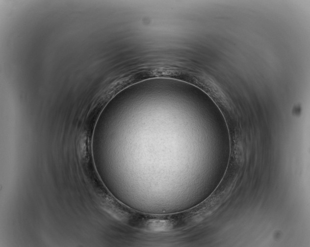 X0000100210169200806061354