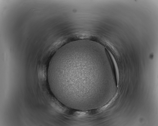 X0000100210170200806061354