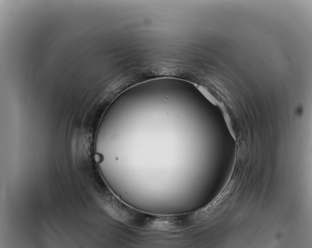 X0000100210171200806061354