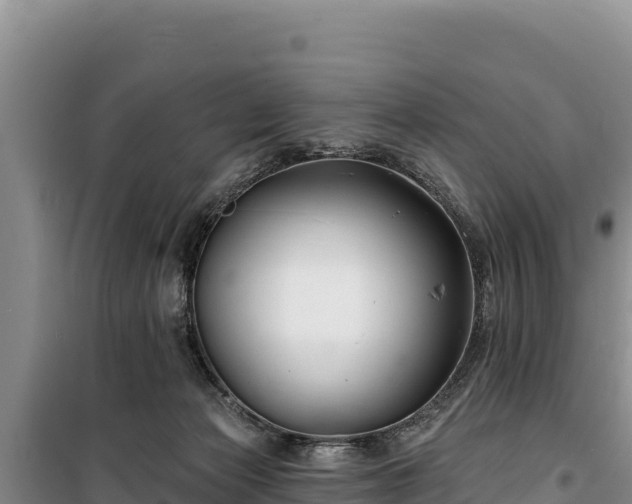 X0000100210173200806061354