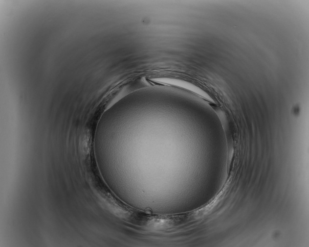 X0000100210174200806061354