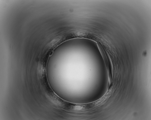 X0000100210176200806061354