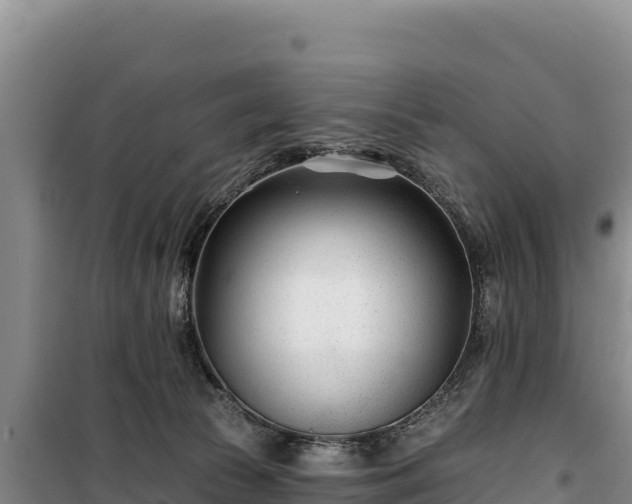 X0000100210177200806061354