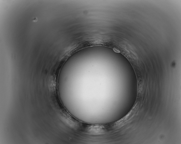 X0000100210179200806061354