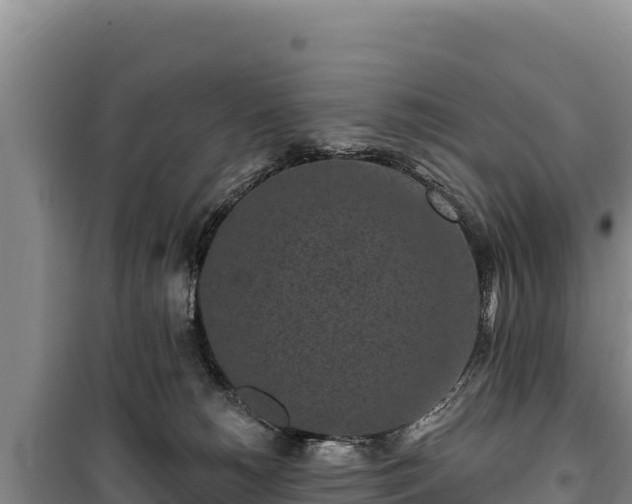 X0000100210180200806061354