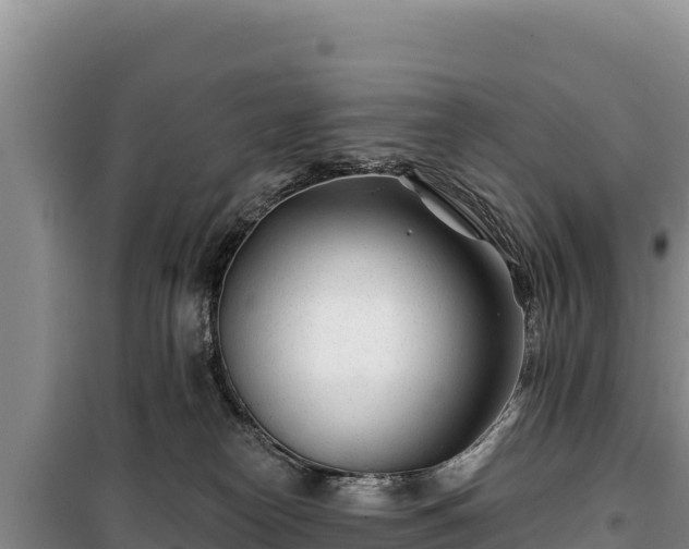 X0000100210182200806061354