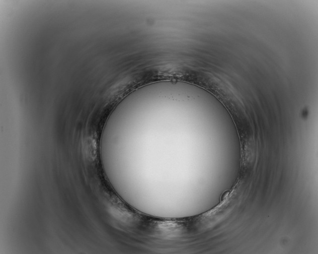 X0000100210183200806061354