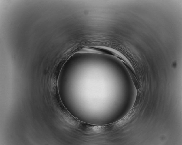 X0000100210184200806061354