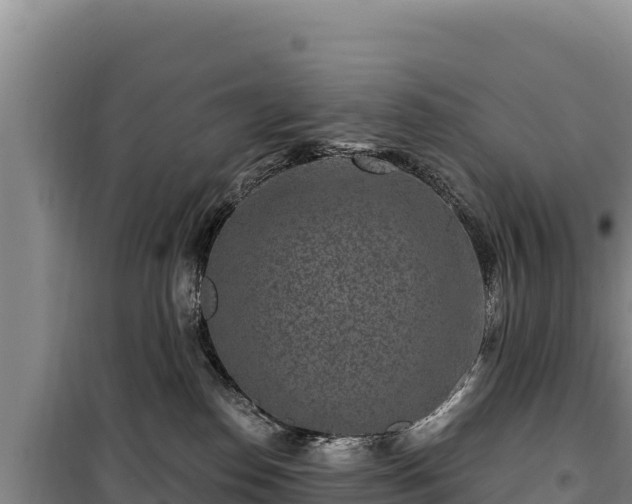 X0000100210186200806061354