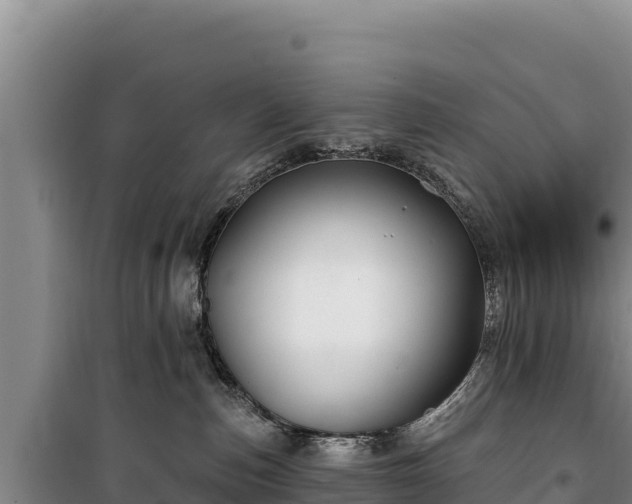 X0000100210187200806061354