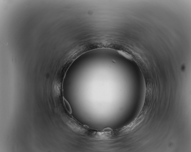 X0000100210188200806061354