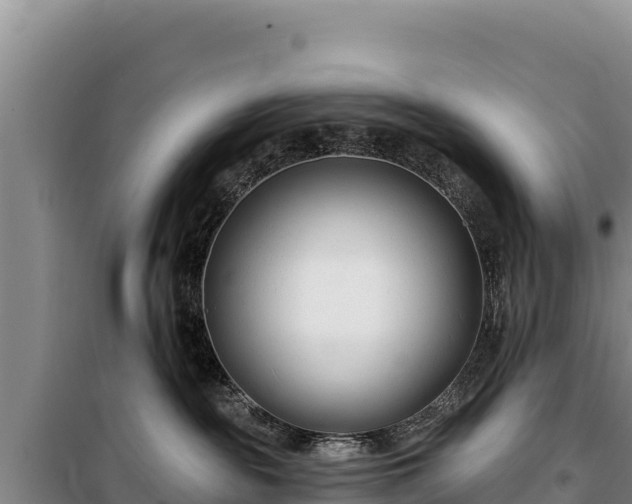 X0000100210189200806061354