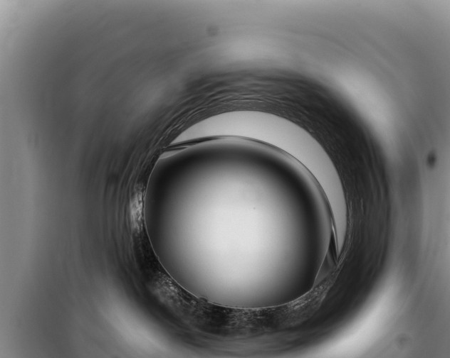 X0000100210190200806061354