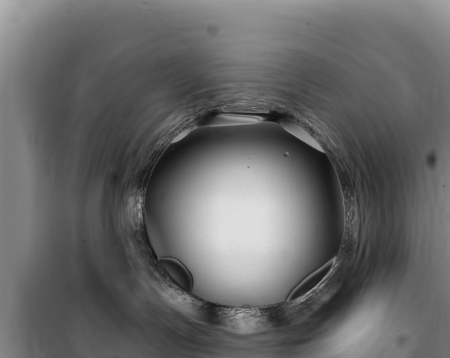 X0000100210191200806061354