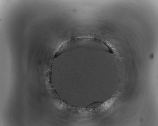 X0000100210192200806061354