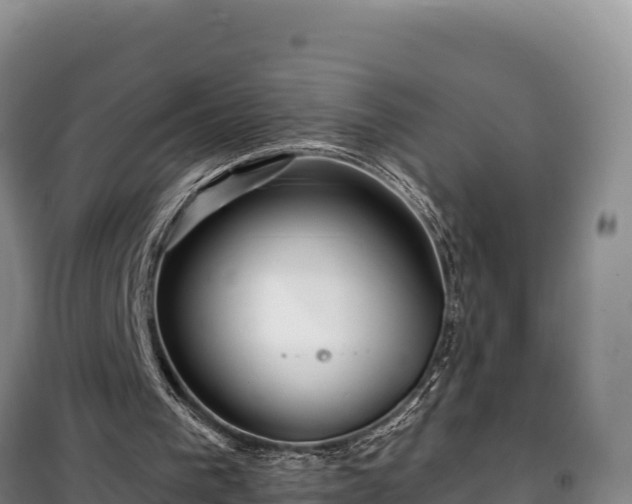 X0000100210193200806061354