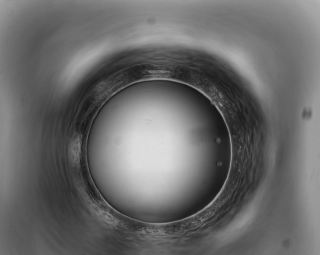 X0000100210194200806061354