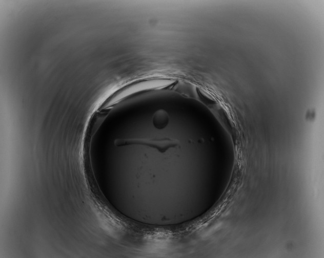 X0000100210196200806061354