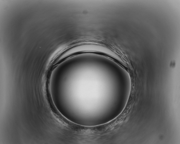 X0000100210197200806061354