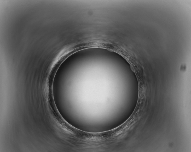 X0000100210198200806061354