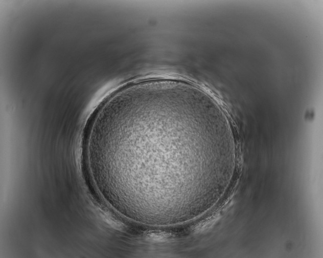 X0000100210199200806061353