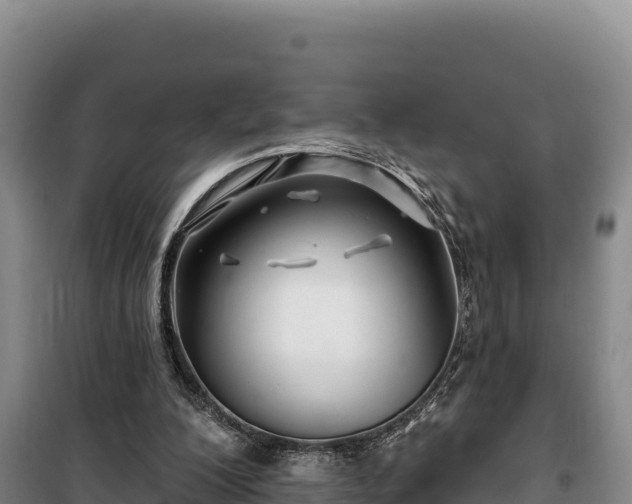 X0000100210200200806061353