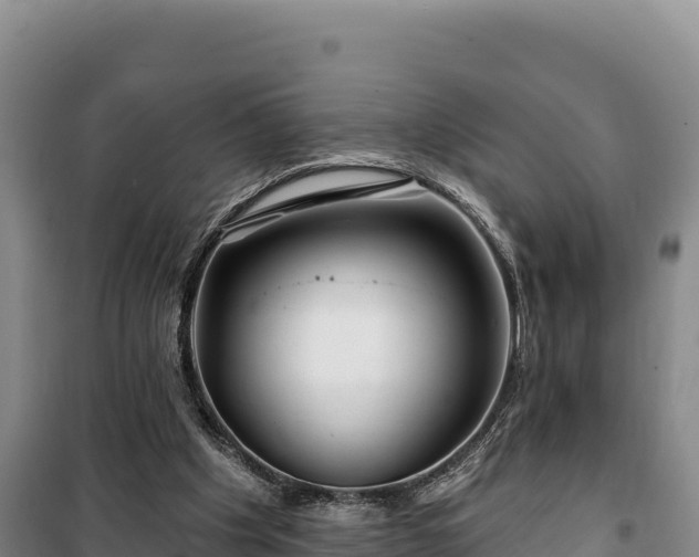 X0000100210201200806061353