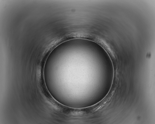 X0000100210202200806061353