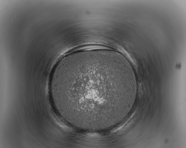 X0000100210203200806061353