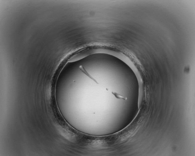 X0000100210204200806061353