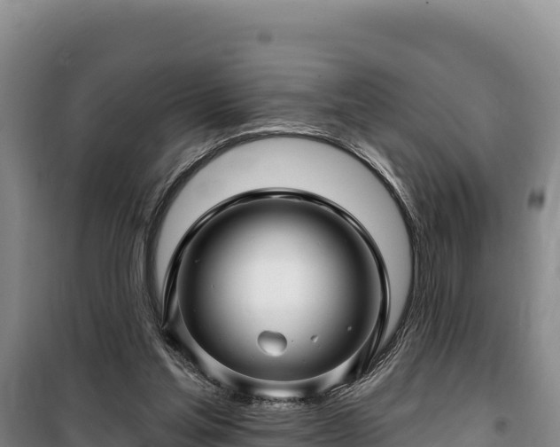 X0000100210205200806061353