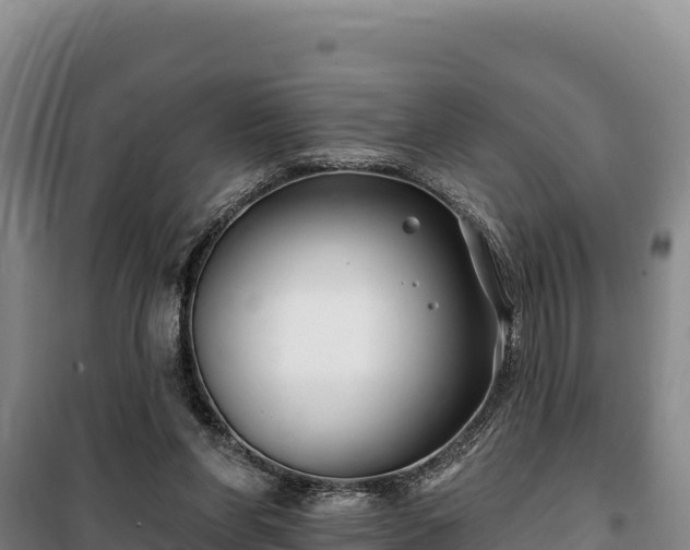 X0000100210206200806061353