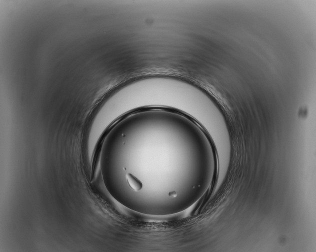 X0000100210207200806061353